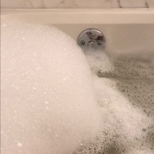 Meet your Posher, Justine